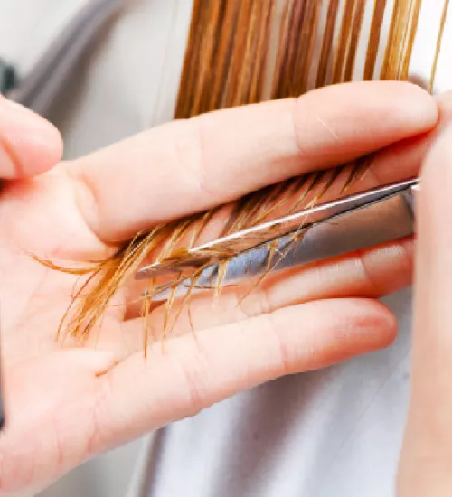 Tendencias de Corte de Cabello en 2025