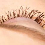 Pestaña Clásica: Destaca tus ojos con elegancia